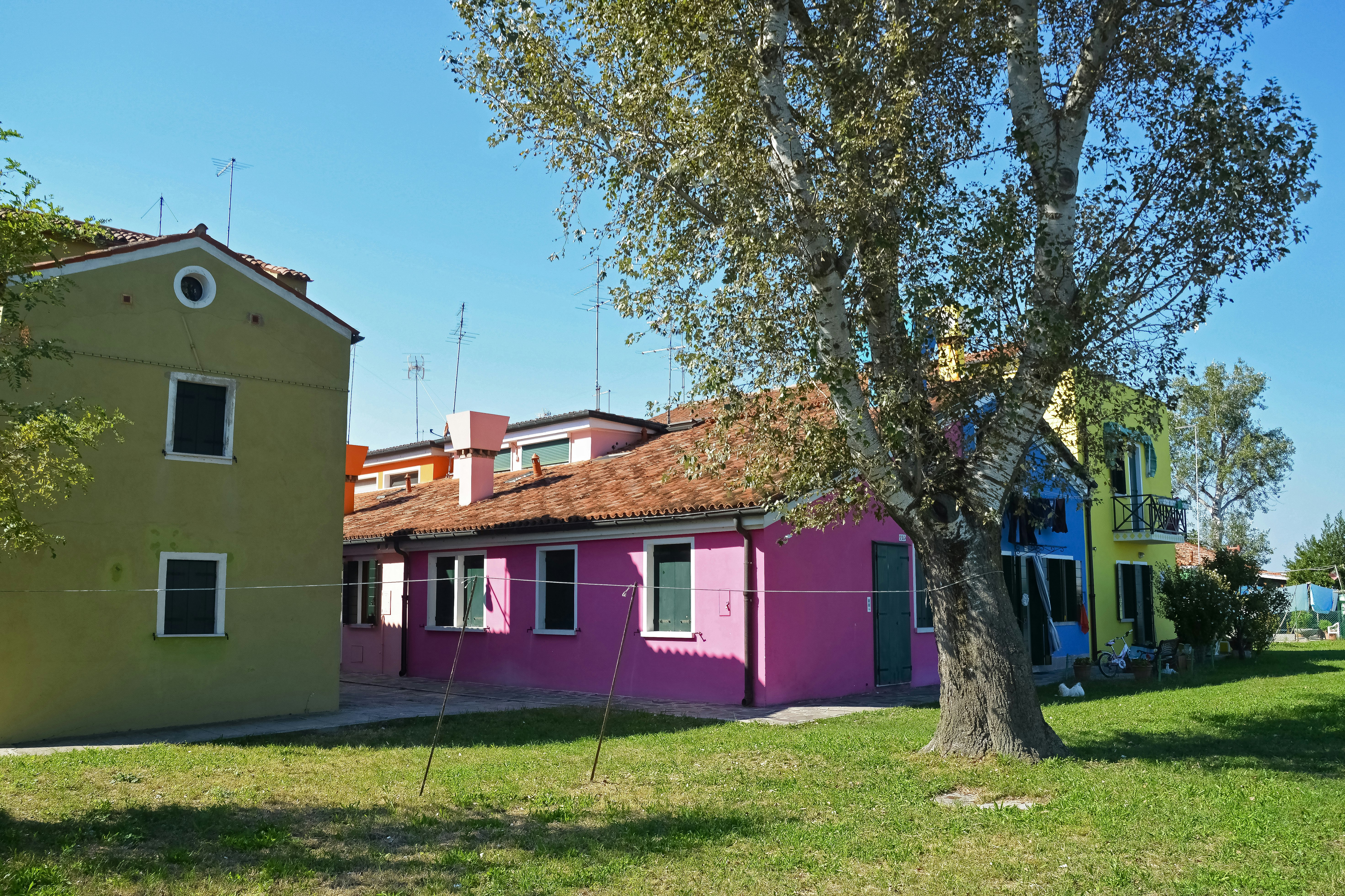 pink and white concrete house near green tree during daytime